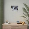 101862-3.jpg Stream of Water in Rumania Poster