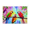 101875-250.jpg Three Red Parrot Tropical Birds Poster