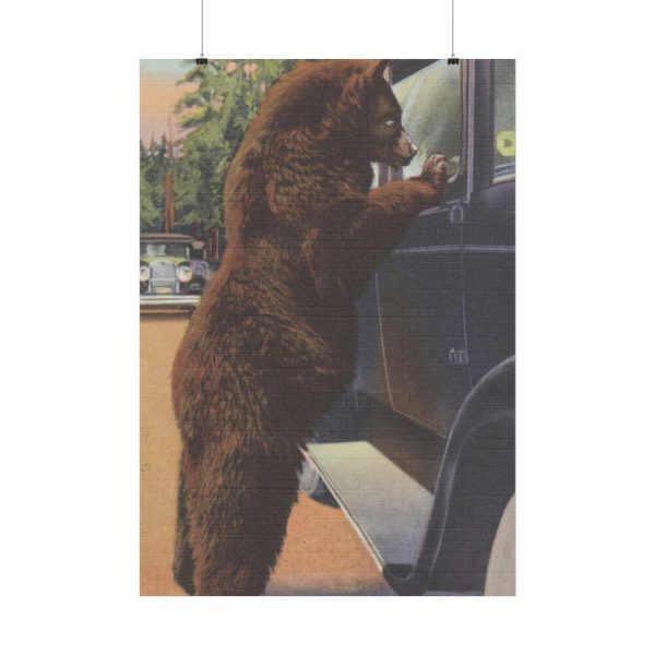 Hold up bear, Yellowstone National Park Poster