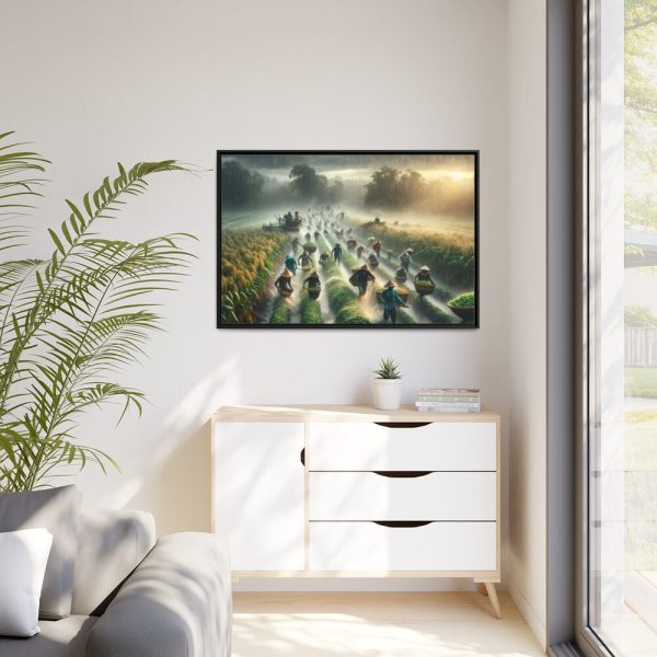 Harvest Rain in Field  Framed Canvas