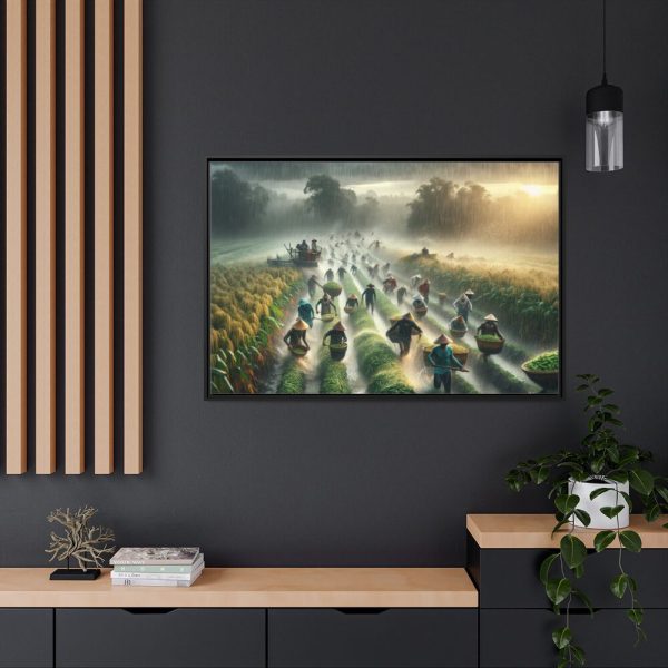 Harvest Rain in Field  Framed Canvas