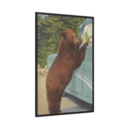 Holdup Bear at Yellowstone National Park Framed Canvas