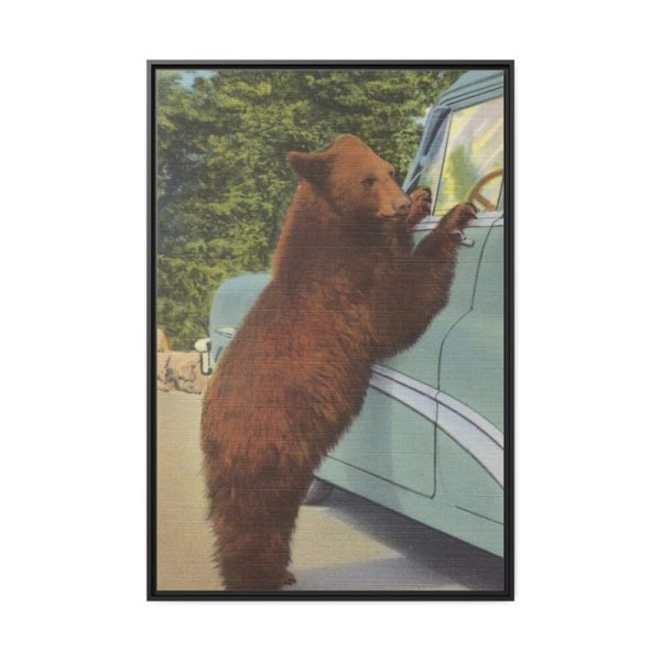 Holdup Bear at Yellowstone National Park Framed Canvas