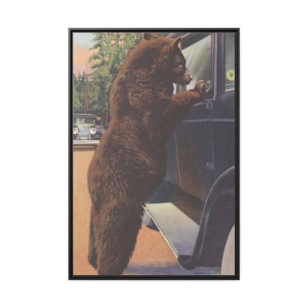 88299-61.jpg Hold up bear, Yellowstone National Park Framed Canvas