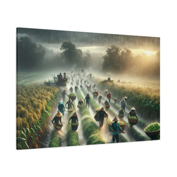 91638-180.jpg Harvest Rain in Field Standard Canvas