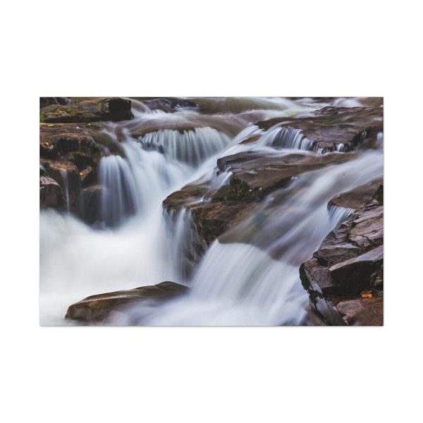 91638-201.jpg Stream of Water in Rumania Standard Canvas