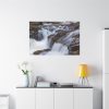 91638-202.jpg Stream of Water in Rumania Standard Canvas