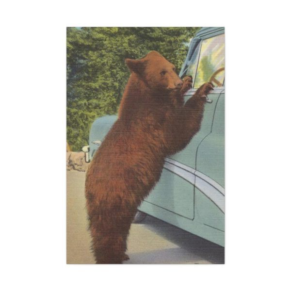 91655-31.jpg Holdup Bear at Yellowstone National Park Standard Canvas