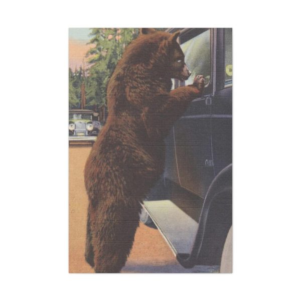 Hold up bear, Yellowstone National Park Standard Canvas
