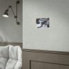 92369-4.jpg Stream of Water in Rumania Poster