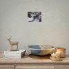 92371-3.jpg Stream of Water in Rumania Poster