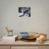 92372-3.jpg Stream of Water in Rumania Poster