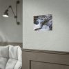 92372-4.jpg Stream of Water in Rumania Poster
