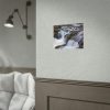92373-4.jpg Stream of Water in Rumania Poster