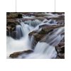 92379-1.jpg Stream of Water in Rumania Poster