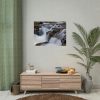 92385-3.jpg Stream of Water in Rumania Poster