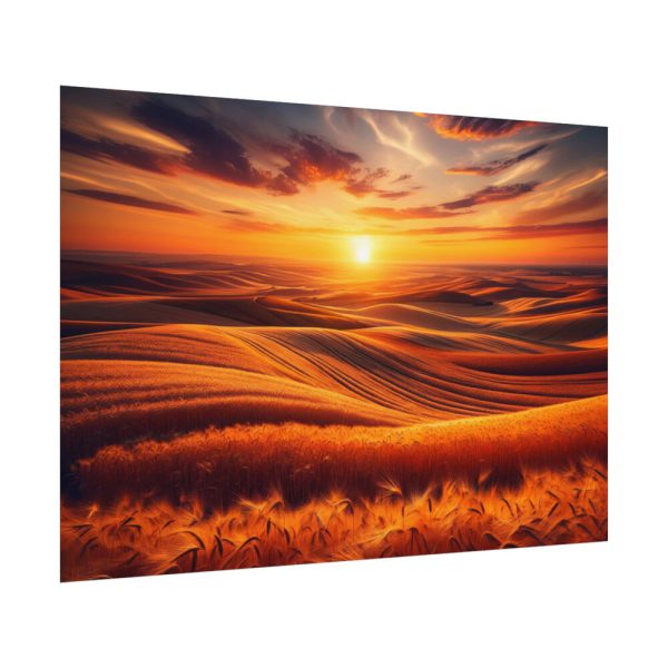 92408-147.jpg Golden Fields at Sunset With the Horizon Ablaze in Warm Colors Poster