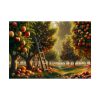 92409-150.jpg Orchard Bounty With Fruit-Laden Trees And RusticLadder Poster