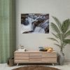 92409-218.jpg Stream of Water in Rumania Poster