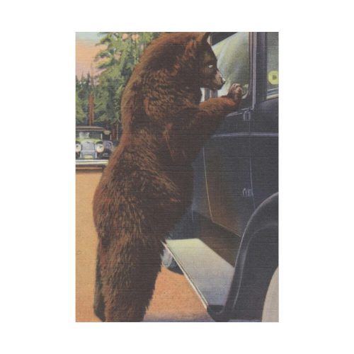 Hold up bear, Yellowstone National Park Poster