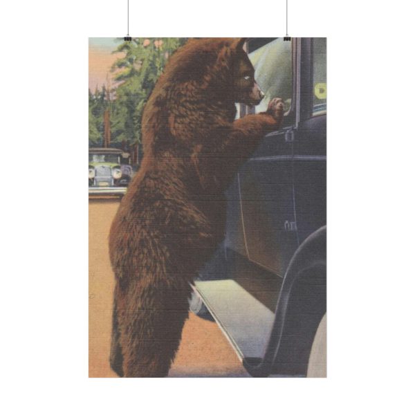 Hold up bear, Yellowstone National Park Poster