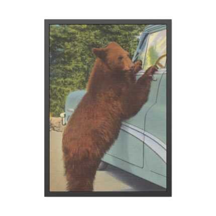 Holdup Bear at Yellowstone National Park Framed Poster
