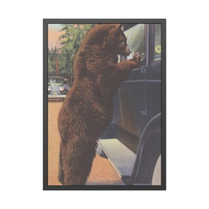 Hold up bear, Yellowstone National Park Framed Poster