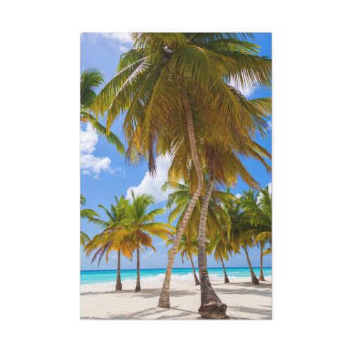 A Beach of Cinque Terre Poster