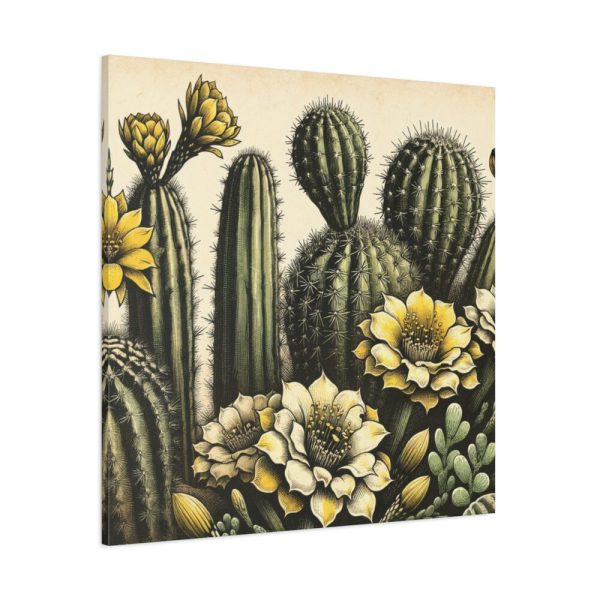 101419-100.jpg Vintage-Style Illustration of Cacti With Yellow Flowers Standard Canvas