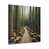 101419-110.jpg Walkway Meandering Through a Forest of Organ Pipe Cactus Standard Canvas