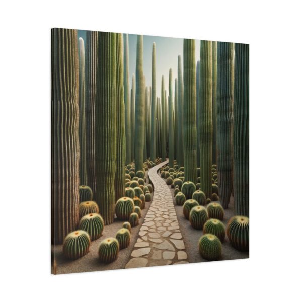 101419-110.jpg Walkway Meandering Through a Forest of Organ Pipe Cactus Standard Canvas