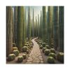 101419-111.jpg Walkway Meandering Through a Forest of Organ Pipe Cactus Standard Canvas