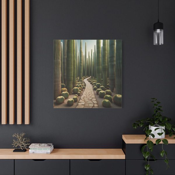 101419-113.jpg Walkway Meandering Through a Forest of Organ Pipe Cactus Standard Canvas