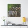 101419-127.jpg Deer With Small Horns Standard Canvas