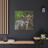 101419-128.jpg Deer With Small Horns Standard Canvas