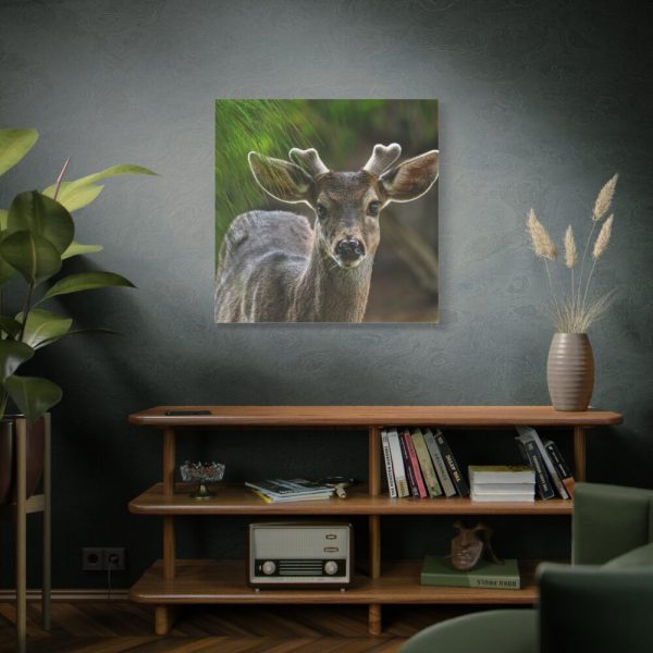 101419-129.jpg Deer With Small Horns Standard Canvas