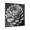 101419-65.jpg Boho Succulent Plant Standard Canvas