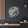101419-68.jpg Boho Succulent Plant Standard Canvas