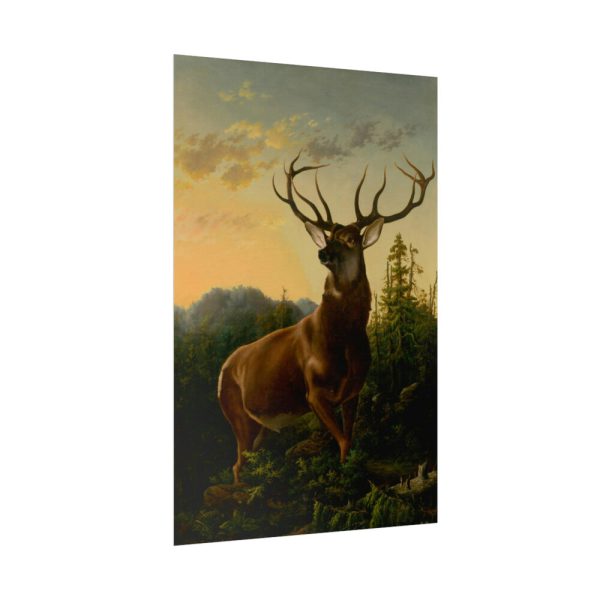 101836-2.jpg Deer in Forest Landscape Poster
