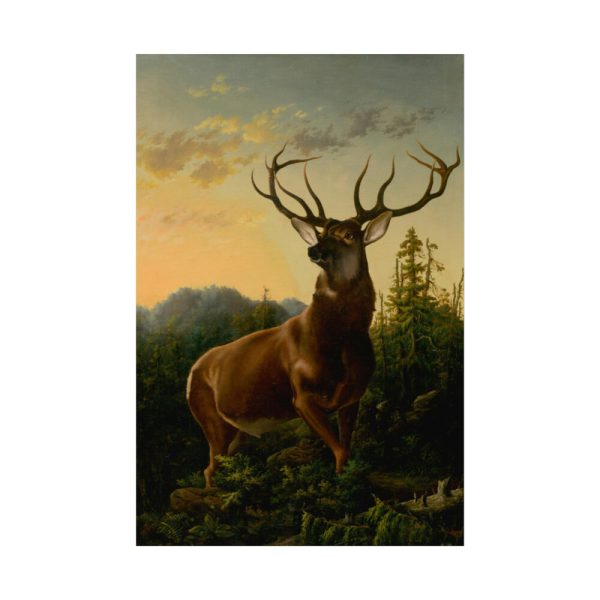 101836.jpg Deer in Forest Landscape Poster