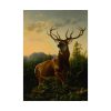 101840.jpg Deer in Forest Landscape Poster