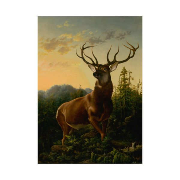 101840.jpg Deer in Forest Landscape Poster