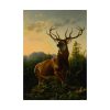 101844.jpg Deer in Forest Landscape Poster