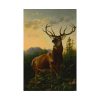 101847.jpg Deer in Forest Landscape Poster