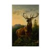 101848.jpg Deer in Forest Landscape Poster