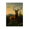 101852.jpg Deer in Forest Landscape Poster