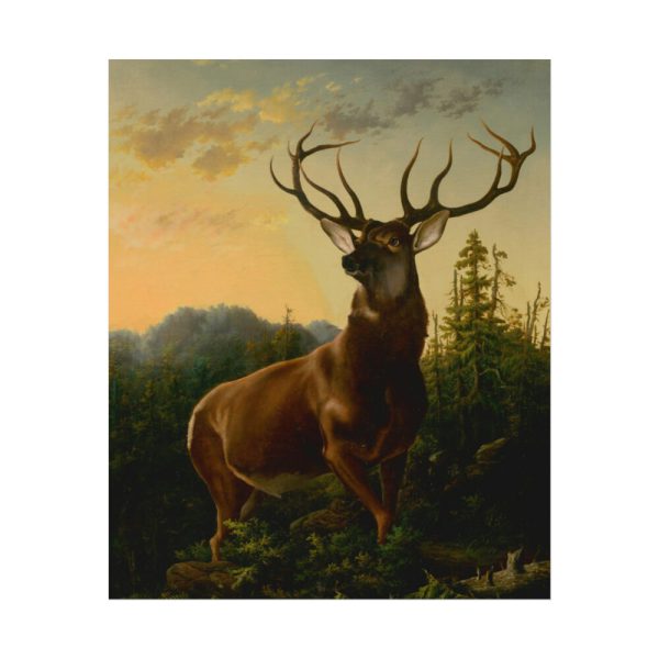 101855.jpg Deer in Forest Landscape Poster