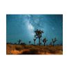 101857.jpg Starry Sky Night With Cactus Poster