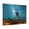 101857-2.jpg Starry Sky Night With Cactus Poster