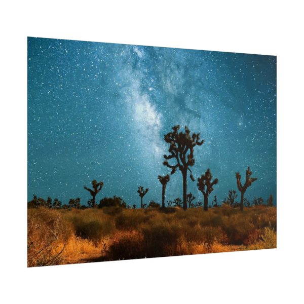 101857-2.jpg Starry Sky Night With Cactus Poster